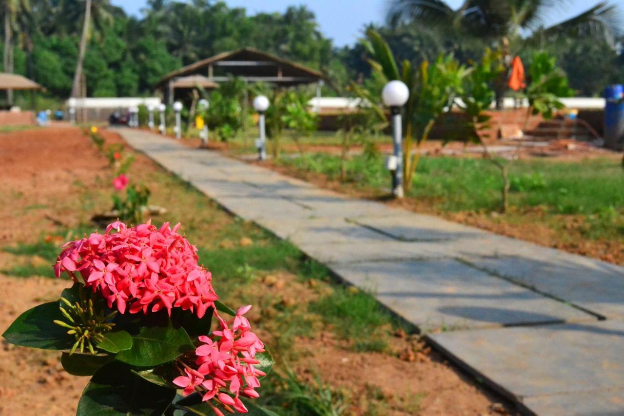 Radhika Eco Resort Арамбол Екстериор снимка