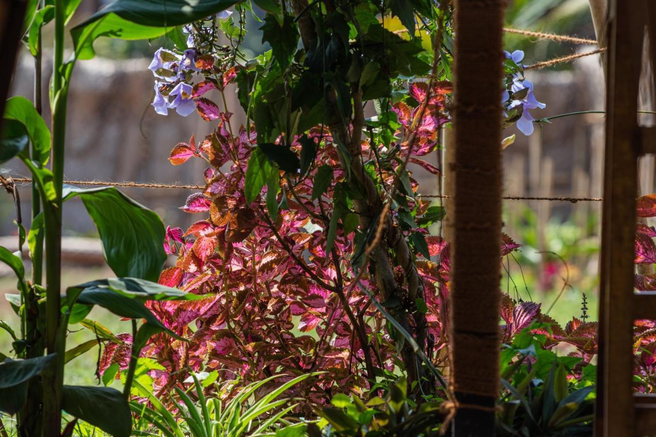 Radhika Eco Resort Арамбол Екстериор снимка